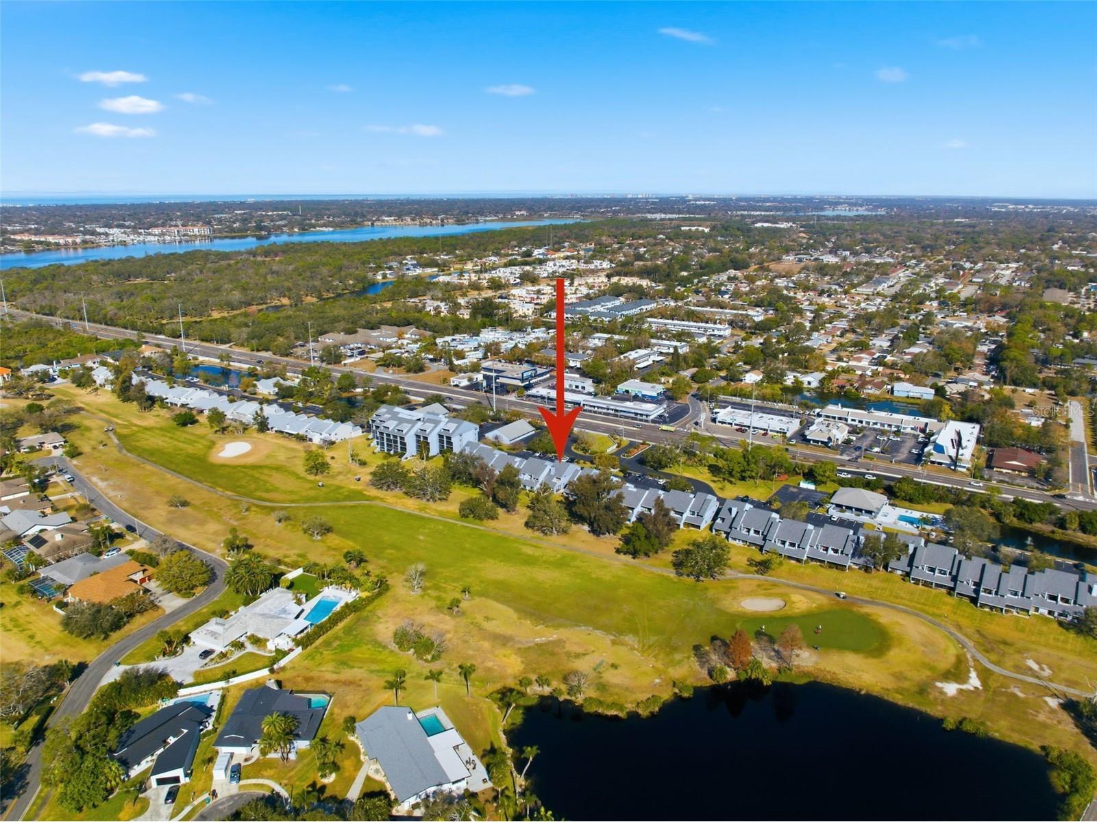 9100 Park Boulevard #1 Seminole FL 33777 TB8475748 image78
