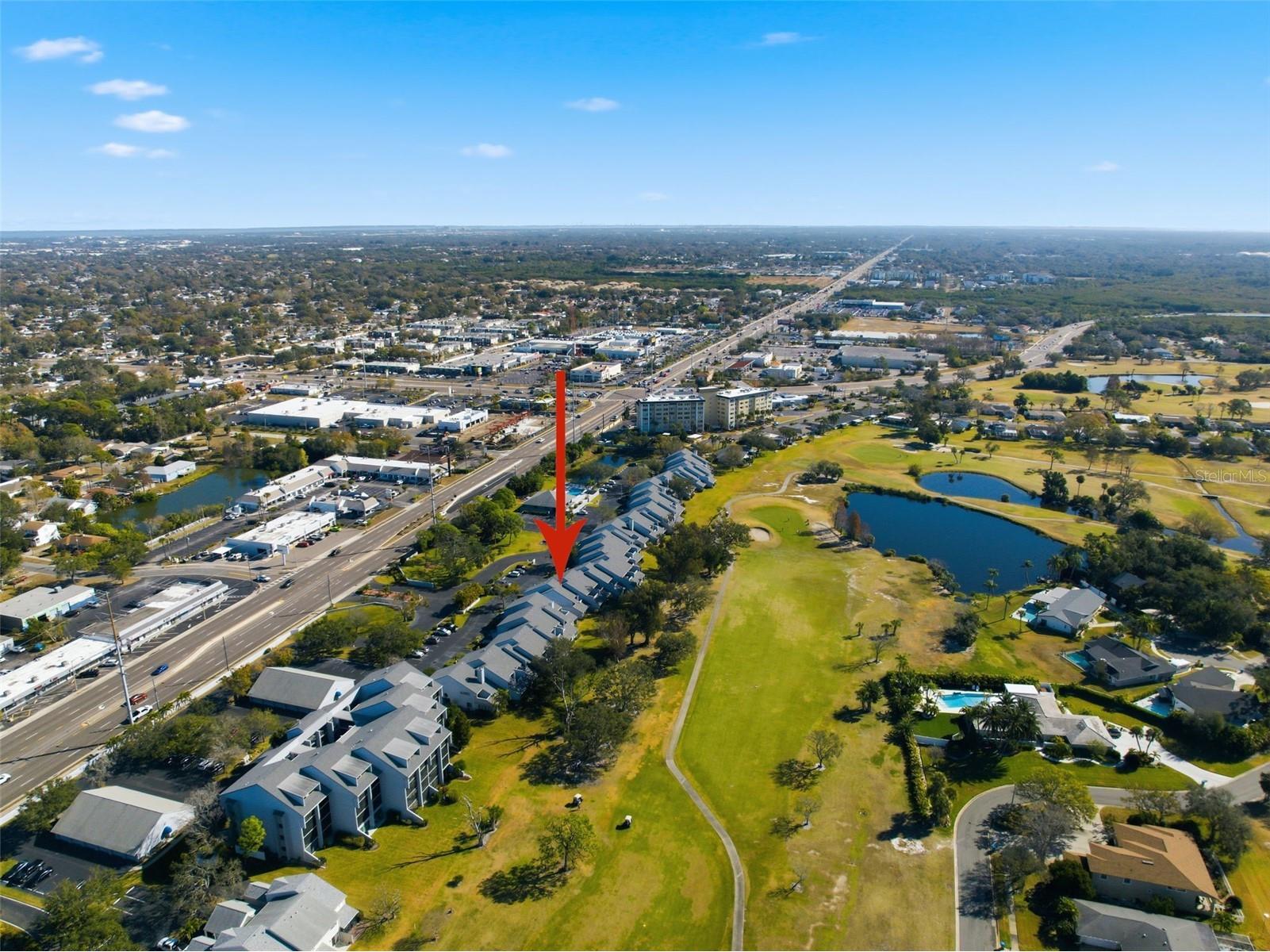 9100 Park Boulevard #1 Seminole FL 33777 TB8475748 image80