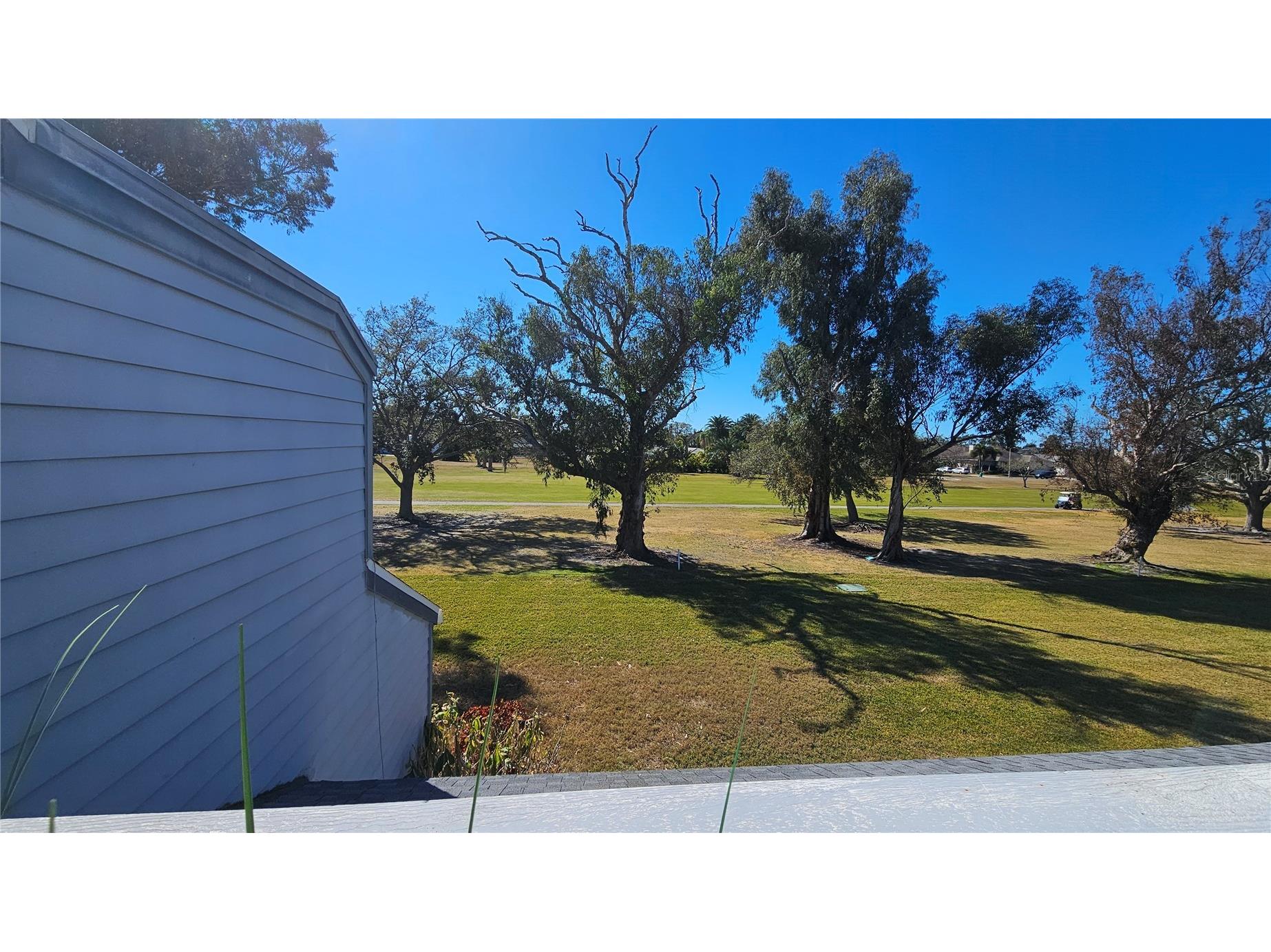 9100 Park Boulevard #1 Seminole FL 33777 TB8475748 image82