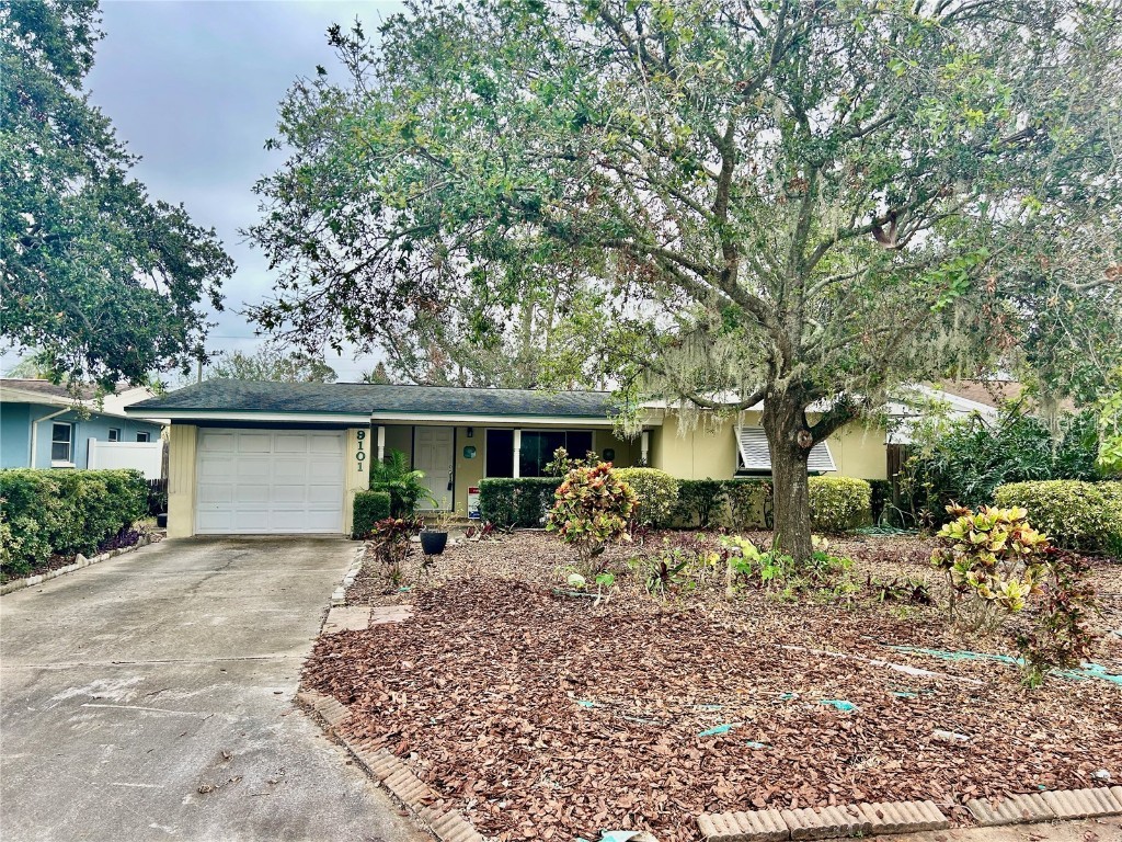 9101 3rd Street N Saint Petersburg FL 33702 TB8323500 image1