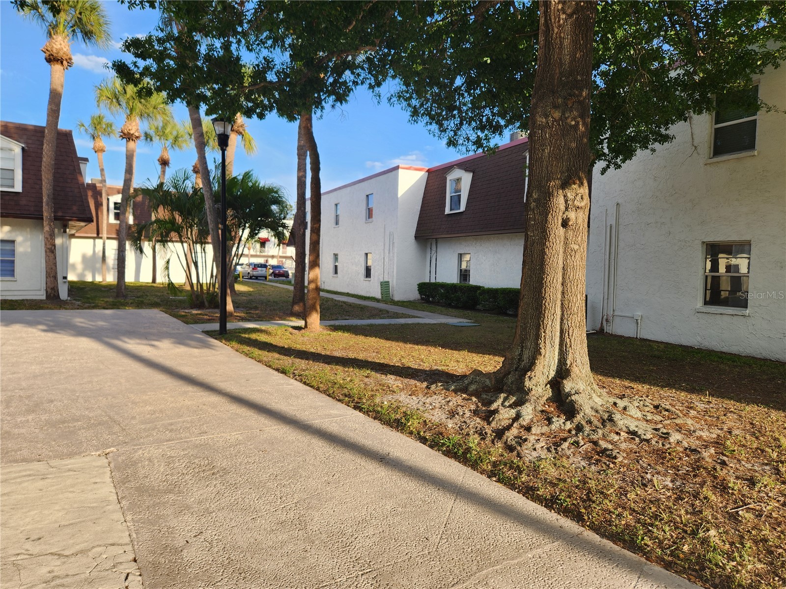 9101 W Hillsborough Avenue #I209 Tampa FL 33615 TB8516303 image50