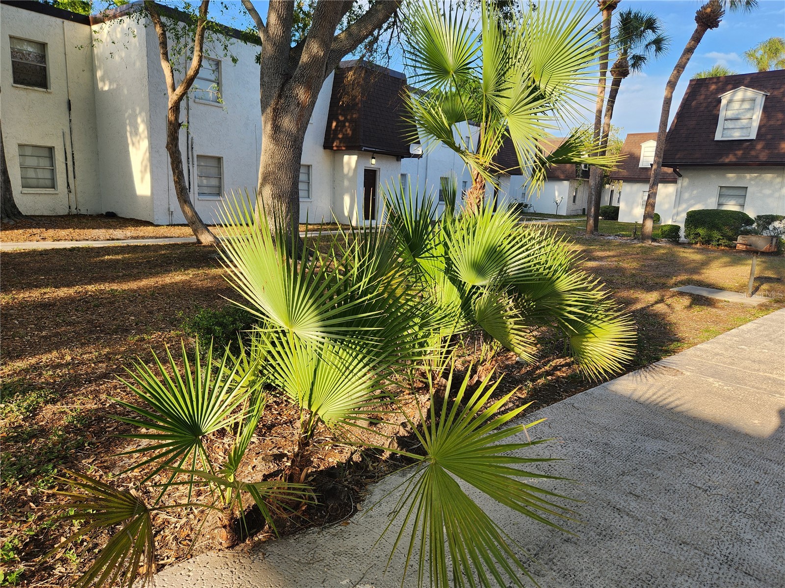 9101 W Hillsborough Avenue #I209 Tampa FL 33615 TB8516303 image54