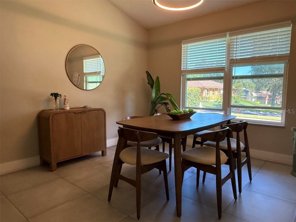 9102 Floribunda Drive Orlando FL 32818 S5136724 image6