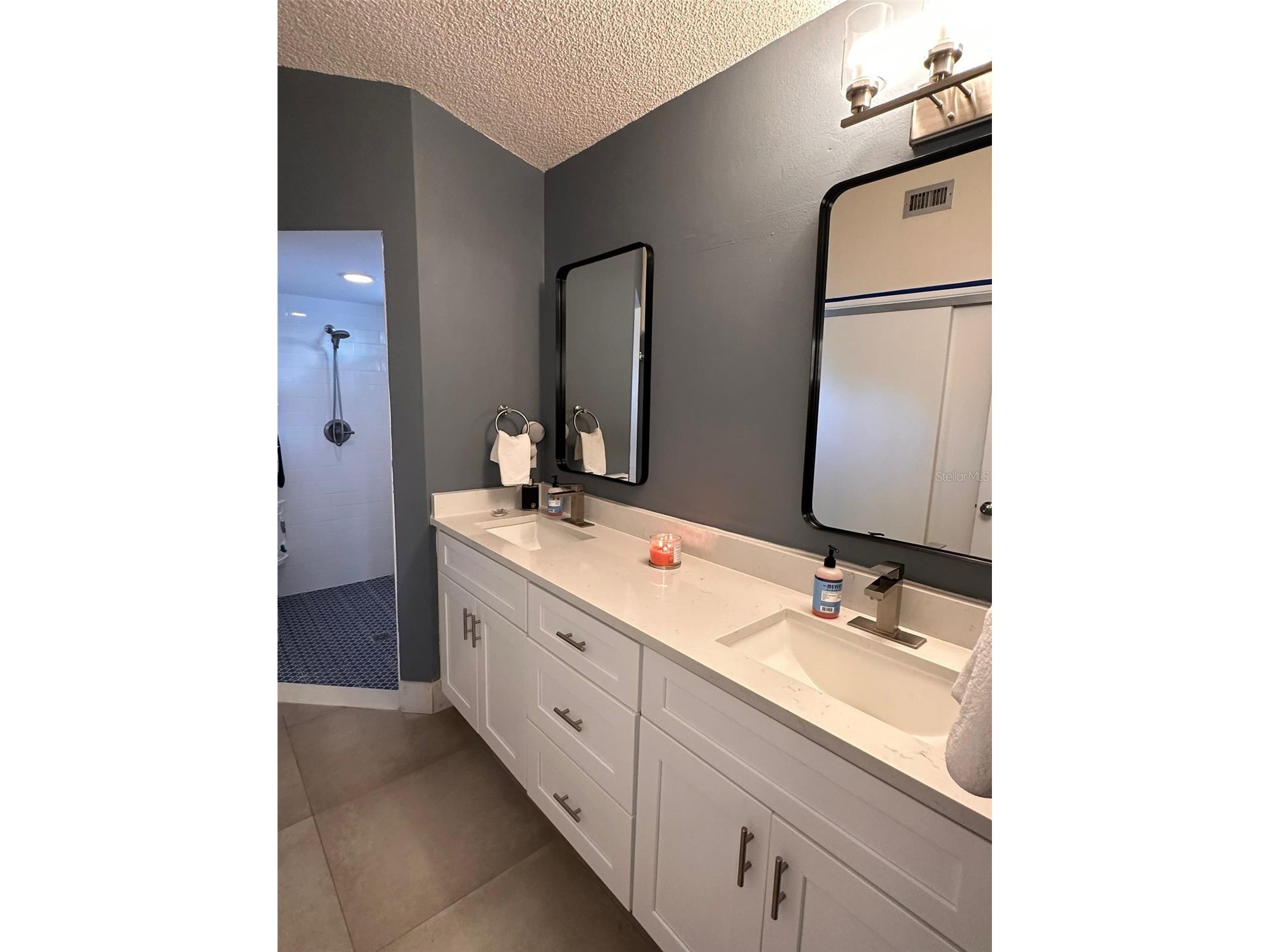 9102 Floribunda Drive Orlando FL 32818 S5144137 image9