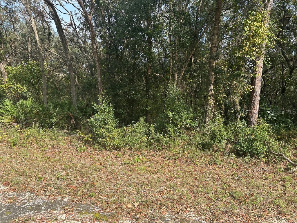 9102 Realstone Drive Webster FL 33597 G5089482 image1