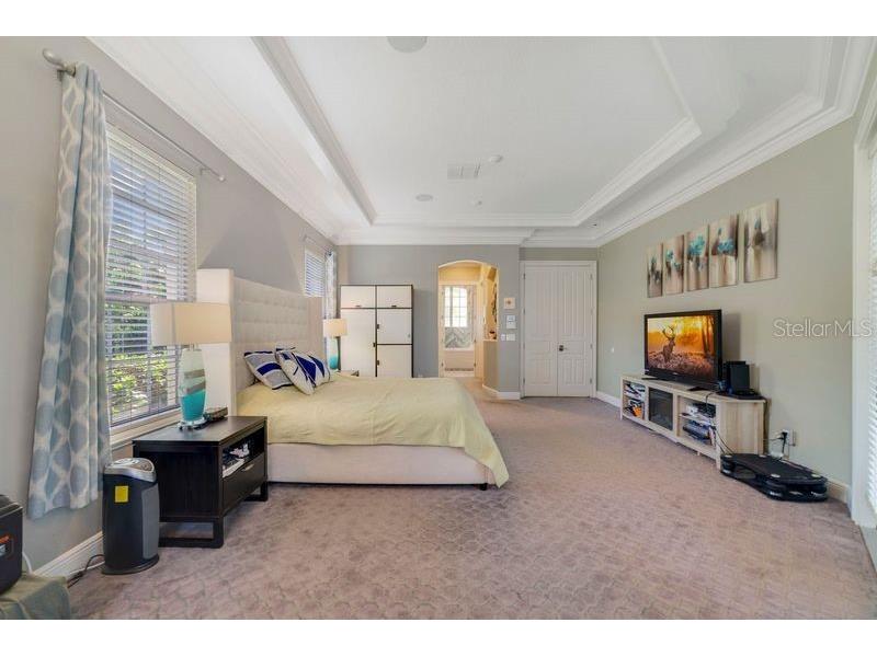 9102 Southern Breeze Drive Orlando FL 32836 O6364361 image11