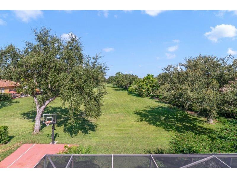 9102 Southern Breeze Drive Orlando FL 32836 O6364361 image30