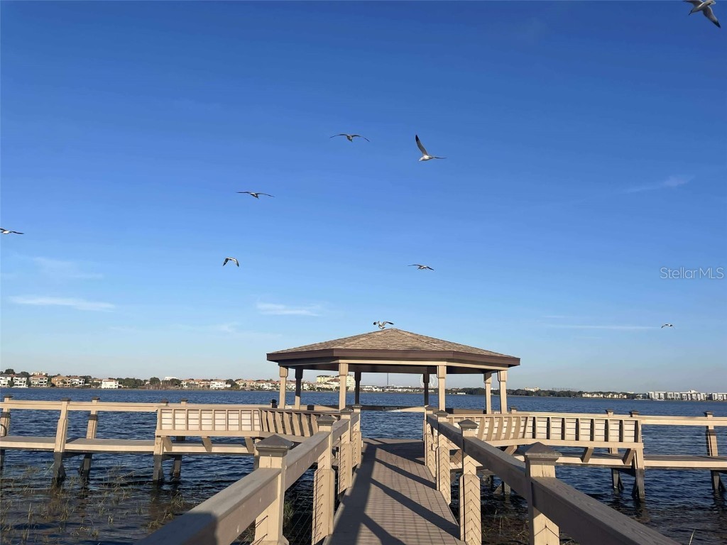 9102 Southern Breeze Drive Orlando FL 32836 O6364361 image38