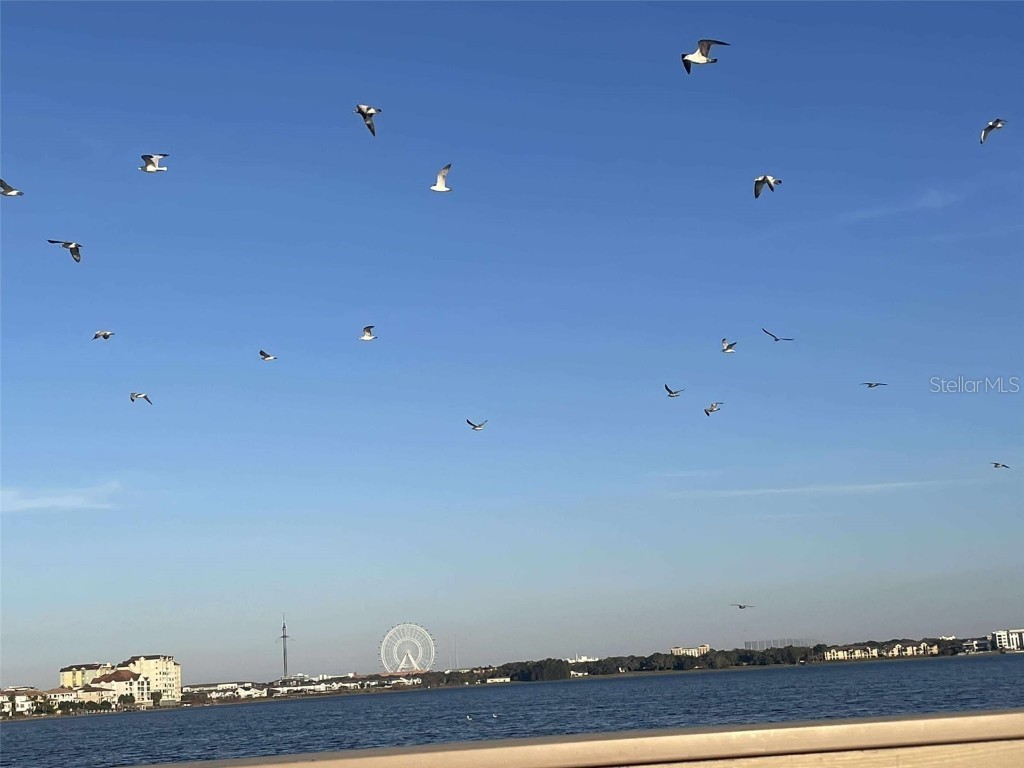 9102 Southern Breeze Drive Orlando FL 32836 O6364361 image39