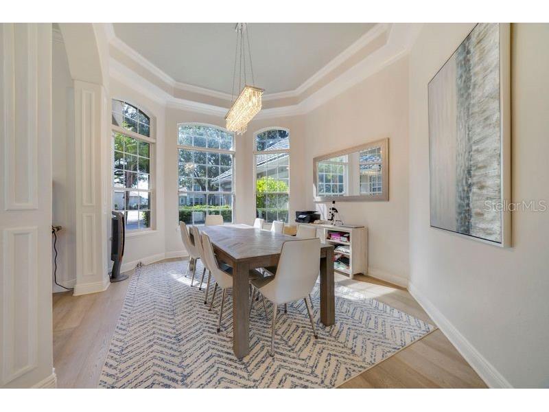 9102 Southern Breeze Drive Orlando FL 32836 O6364361 image4