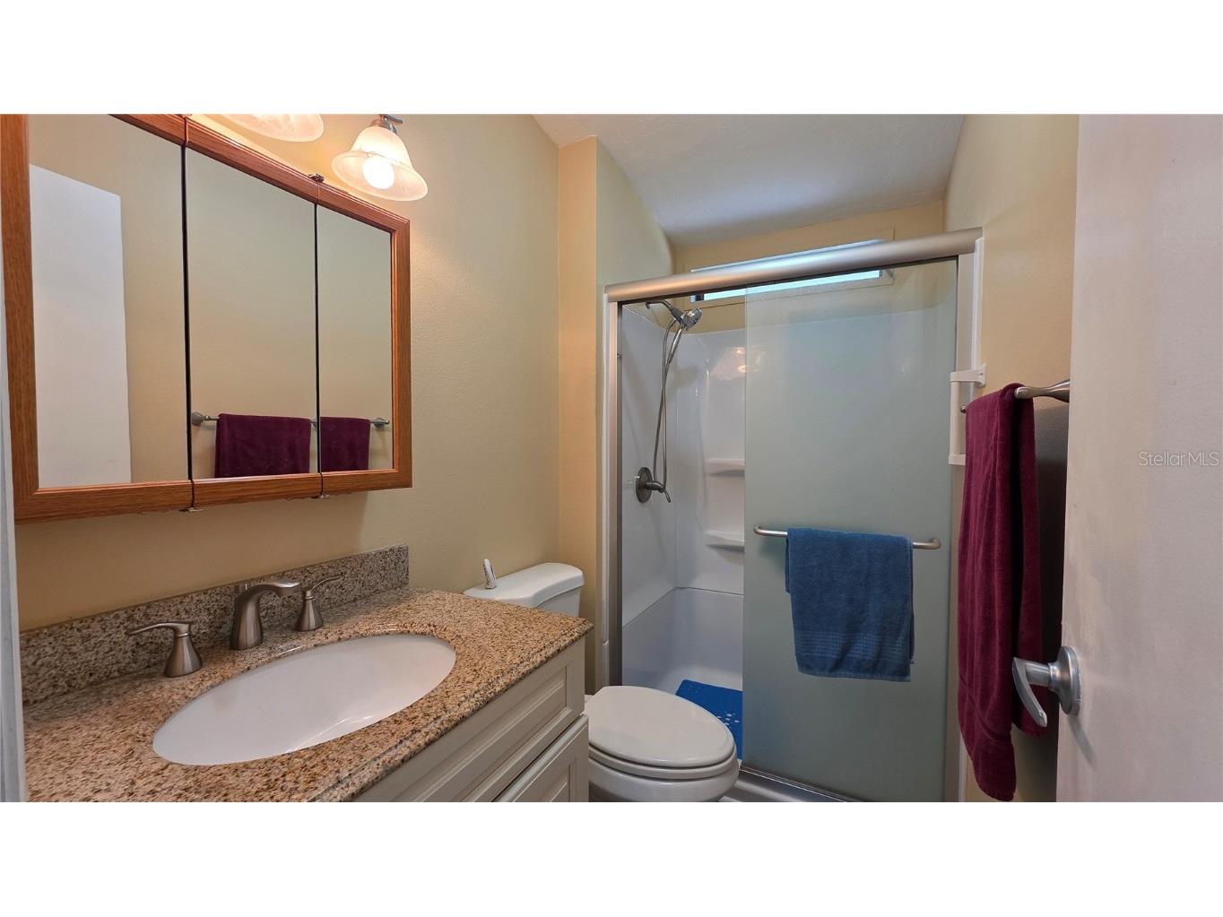 9103 34th Avenue E Palmetto FL 34221 C7513709 image29