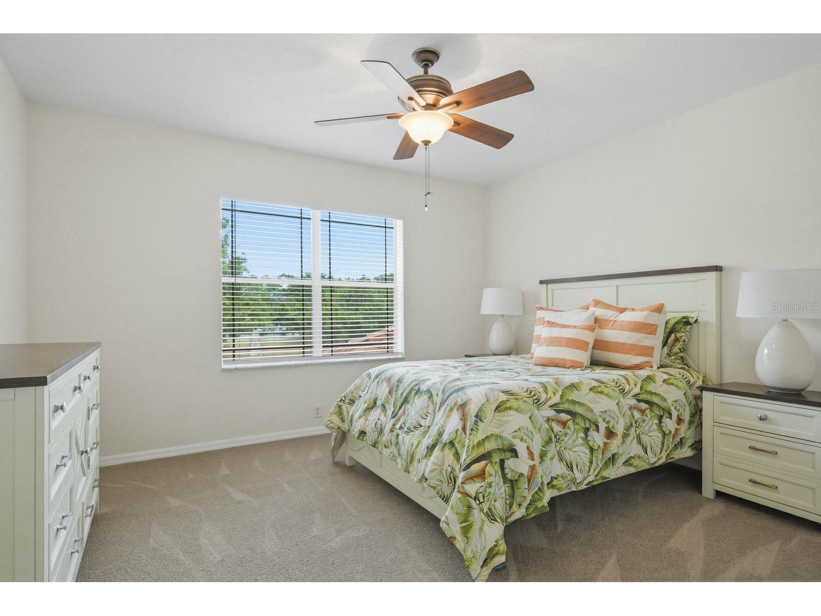 9103 Creedmoor Lane New Port Richey FL 34654 TB8496885 image44