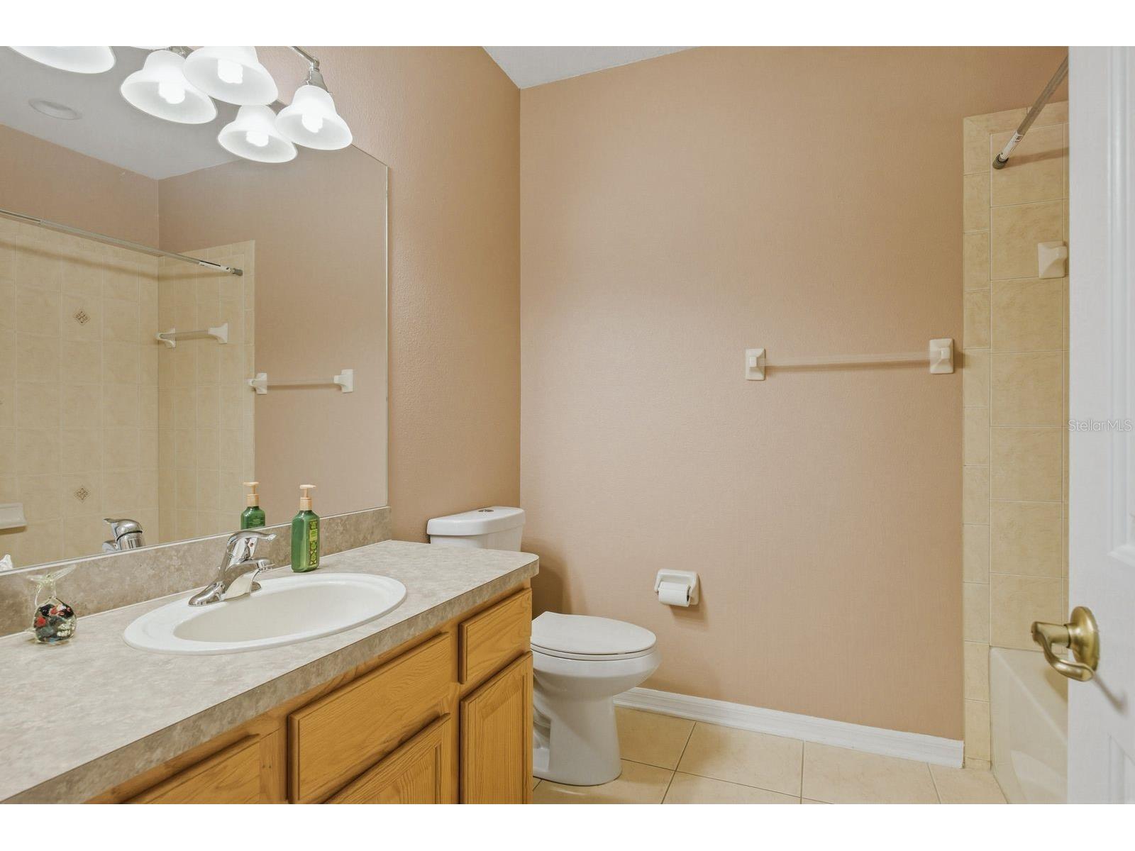9103 Creedmoor Lane New Port Richey FL 34654 TB8496885 image46