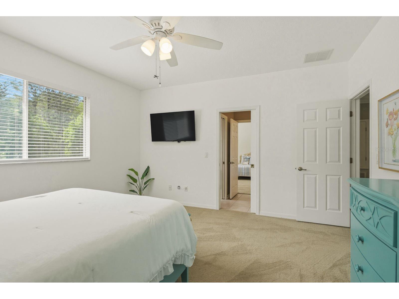 9103 Creedmoor Lane New Port Richey FL 34654 TB8496885 image48