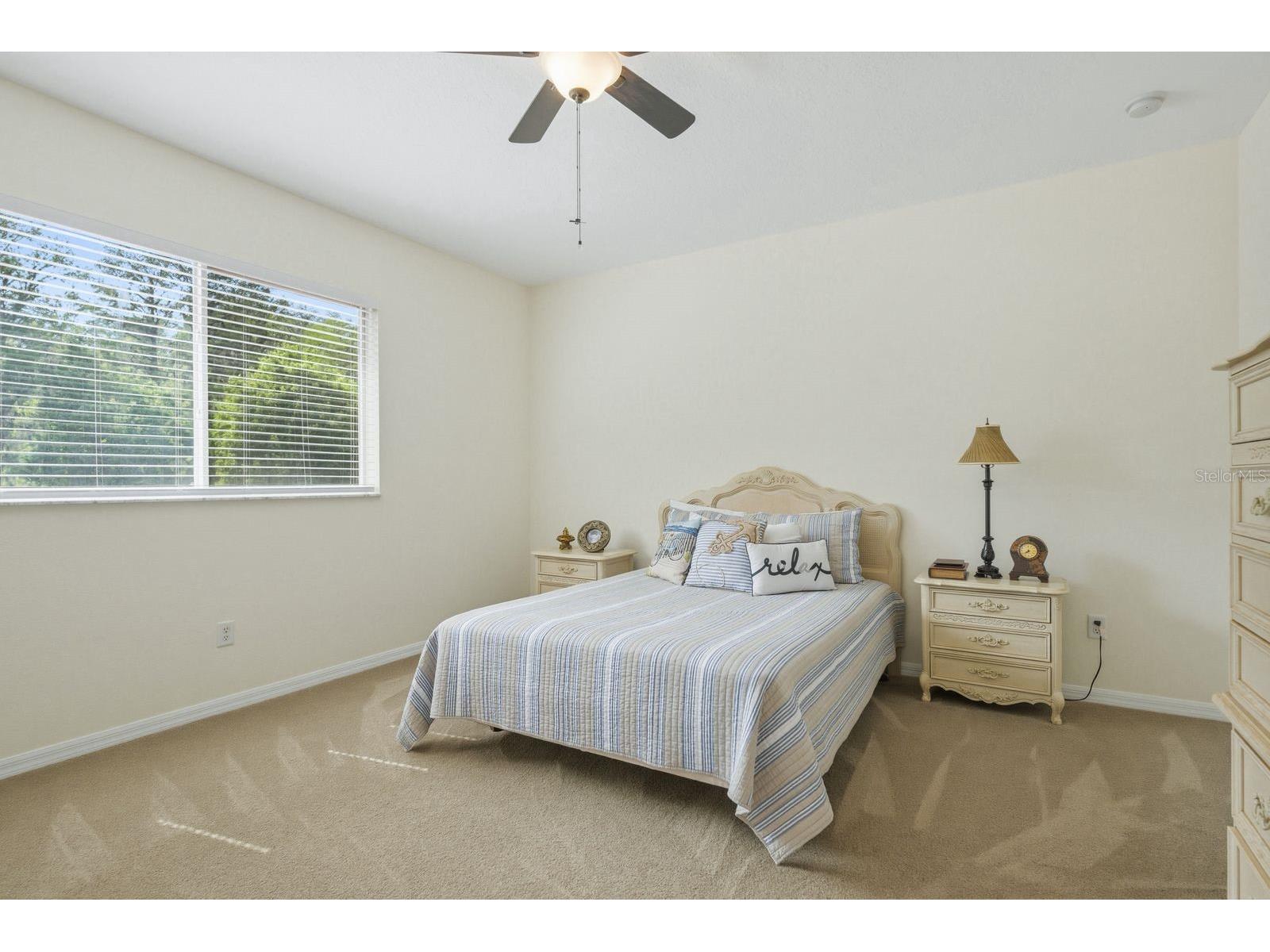 9103 Creedmoor Lane New Port Richey FL 34654 TB8496885 image51
