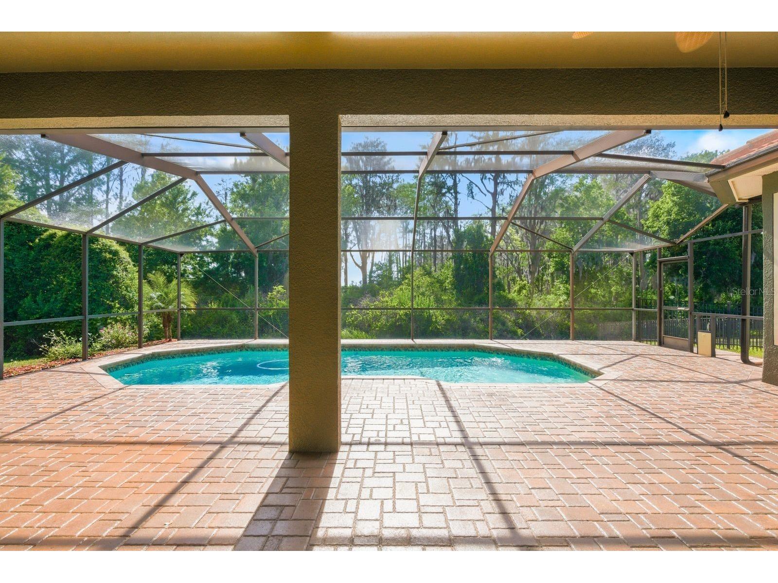 9103 Creedmoor Lane New Port Richey FL 34654 TB8496885 image55