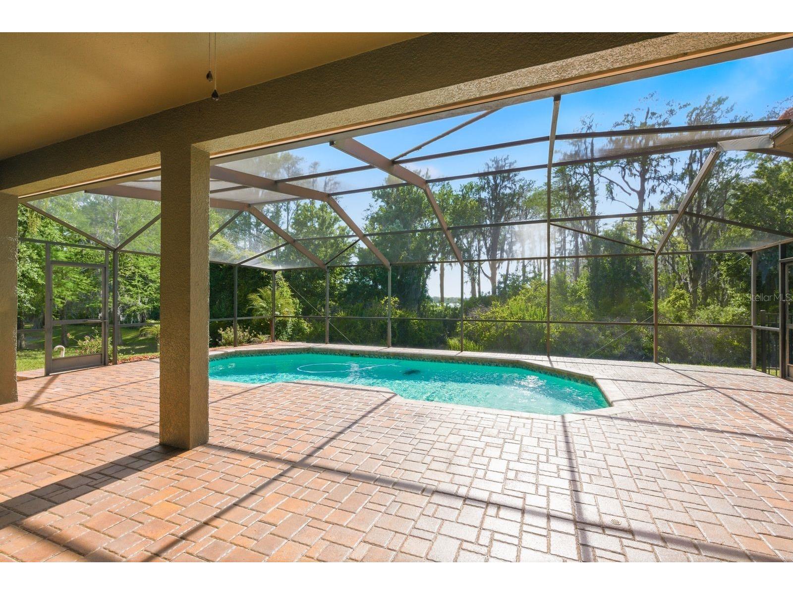 9103 Creedmoor Lane New Port Richey FL 34654 TB8496885 image56