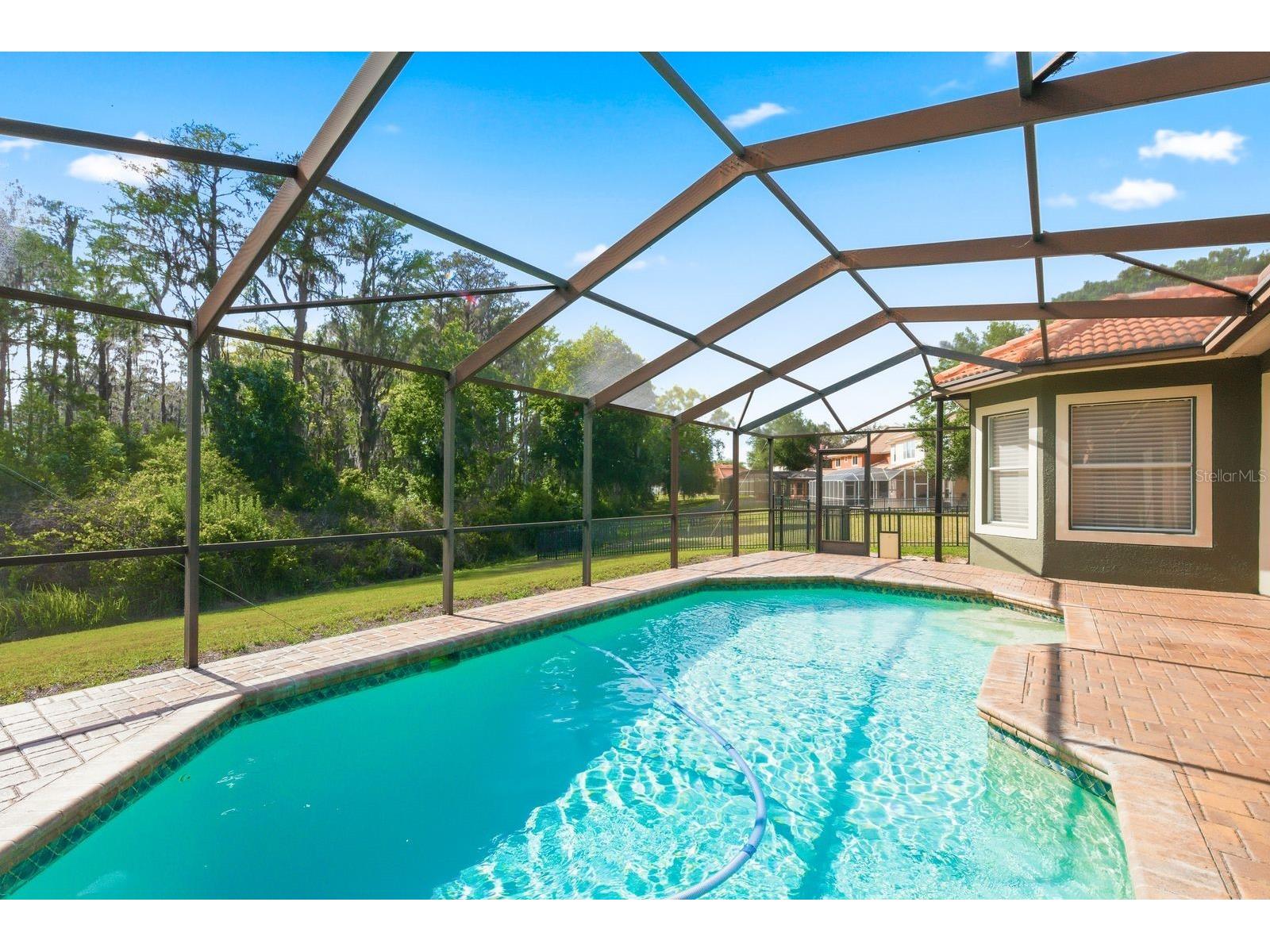 9103 Creedmoor Lane New Port Richey FL 34654 TB8496885 image59