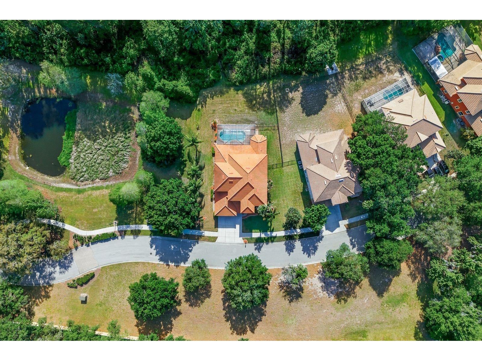 9103 Creedmoor Lane New Port Richey FL 34654 TB8496885 image72
