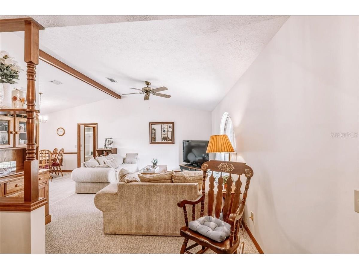 9103 E Aqua Vista Drive Inverness FL 34450 - INVERNESS CHAIN OF LAKES TB8486586 image10
