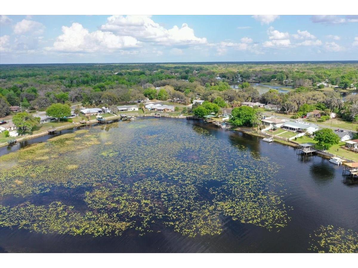 9103 E Aqua Vista Drive Inverness FL 34450 - INVERNESS CHAIN OF LAKES TB8486586 image5