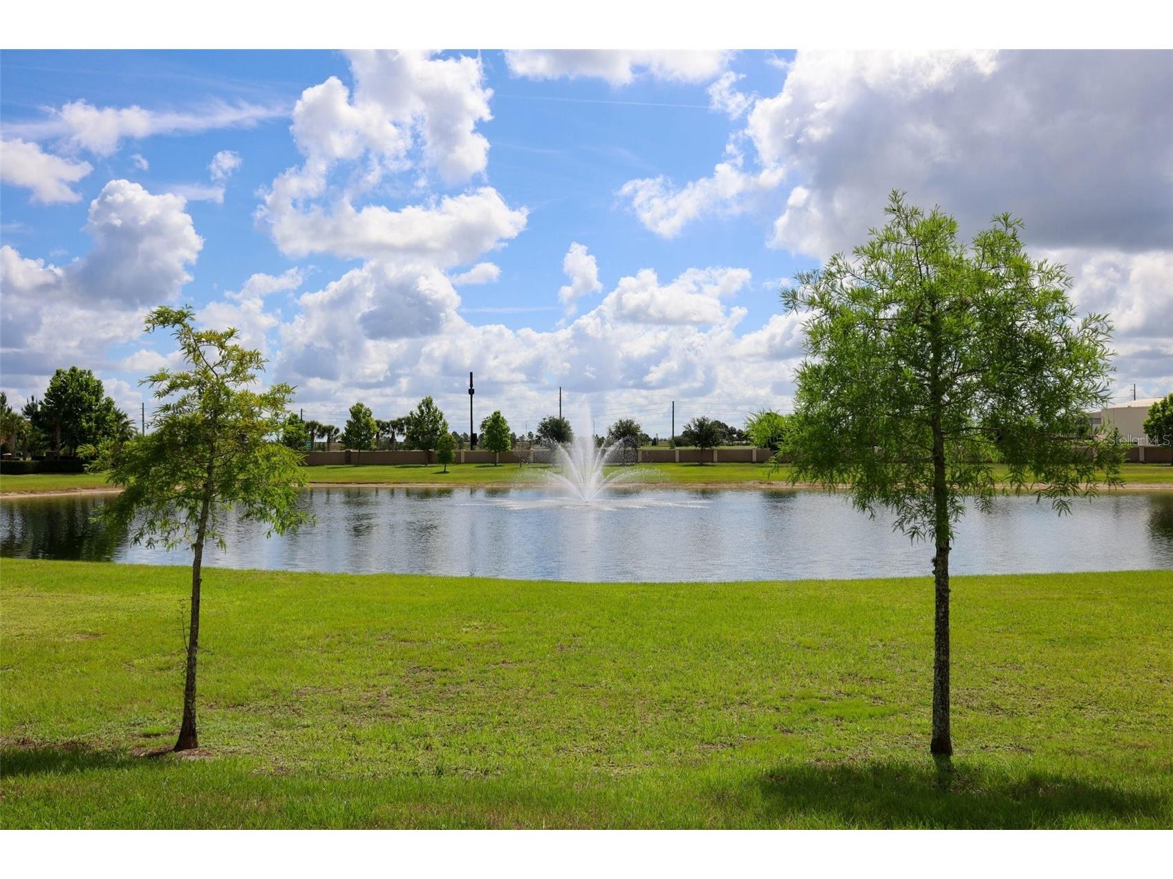 9103 Morgana Court Winter Garden FL 34787 O6409652 image59