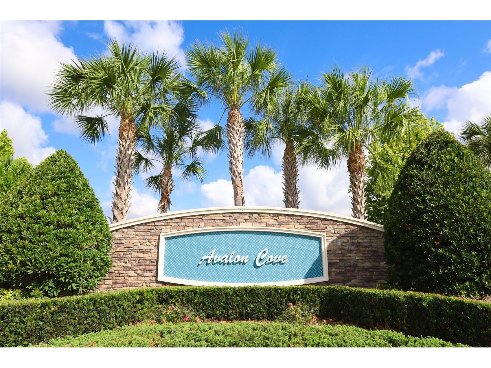 9103 Morgana Court Winter Garden FL 34787 O6409652 image71