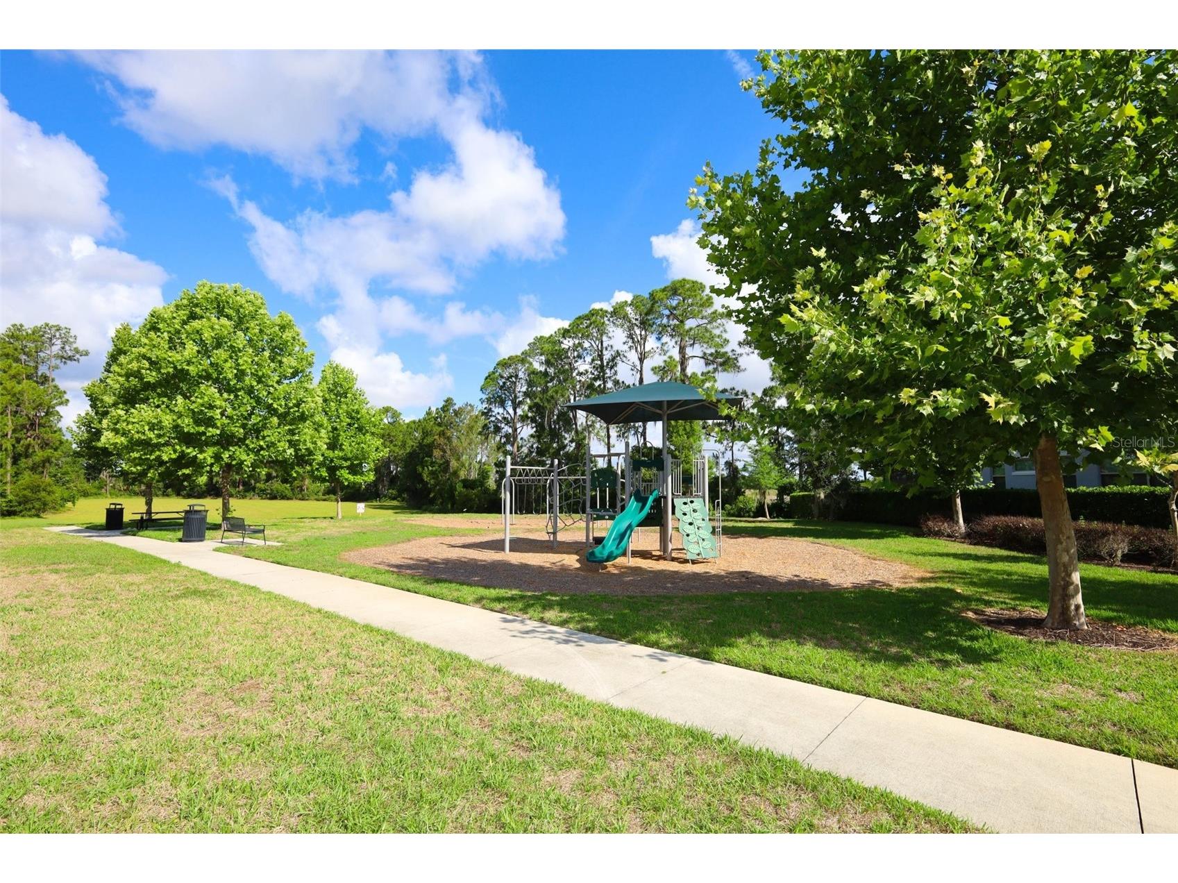 9103 Morgana Court Winter Garden FL 34787 O6409652 image72