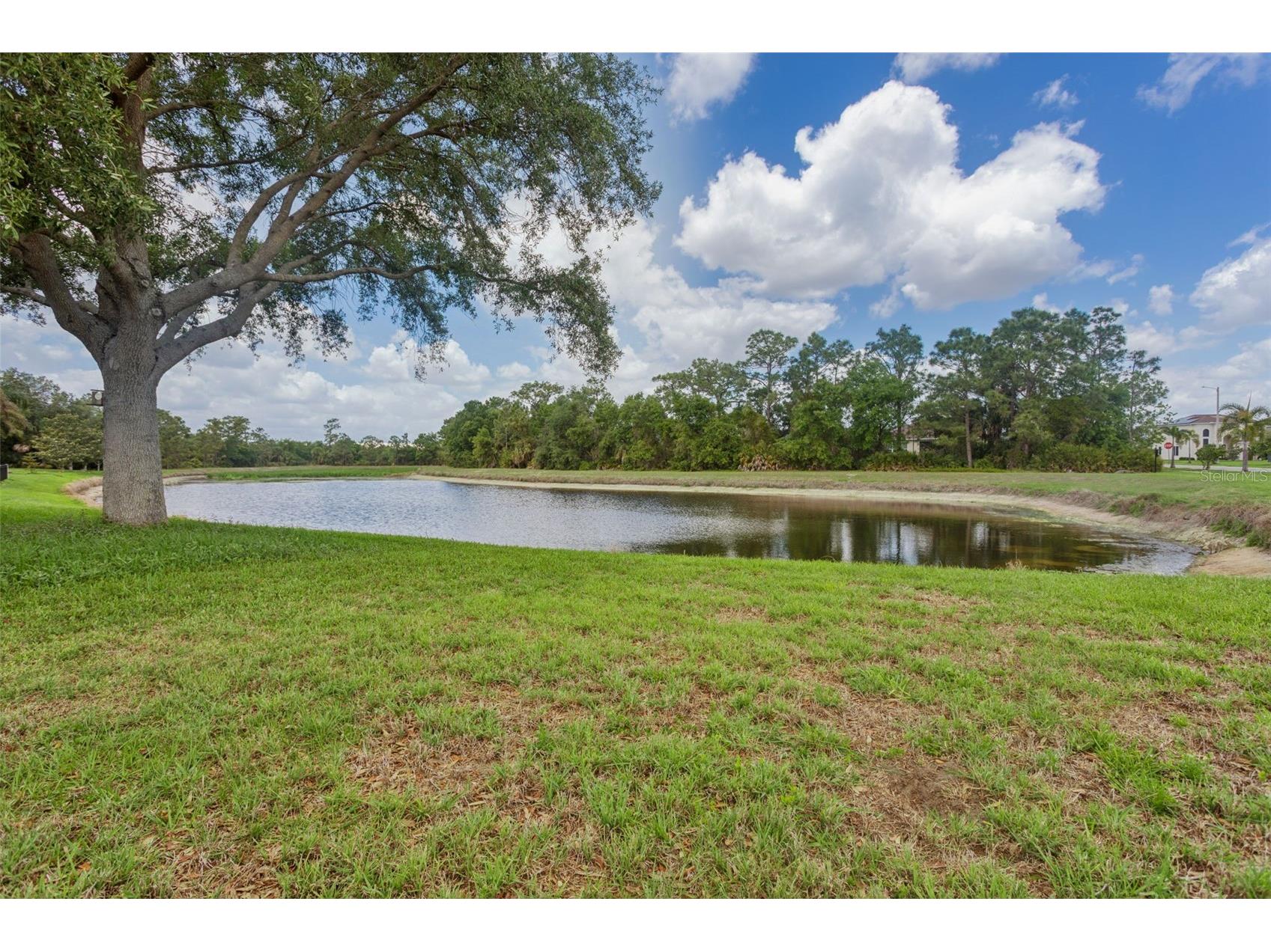 9103 Pinebreeze Drive Riverview FL 33578 TB8497168 image27