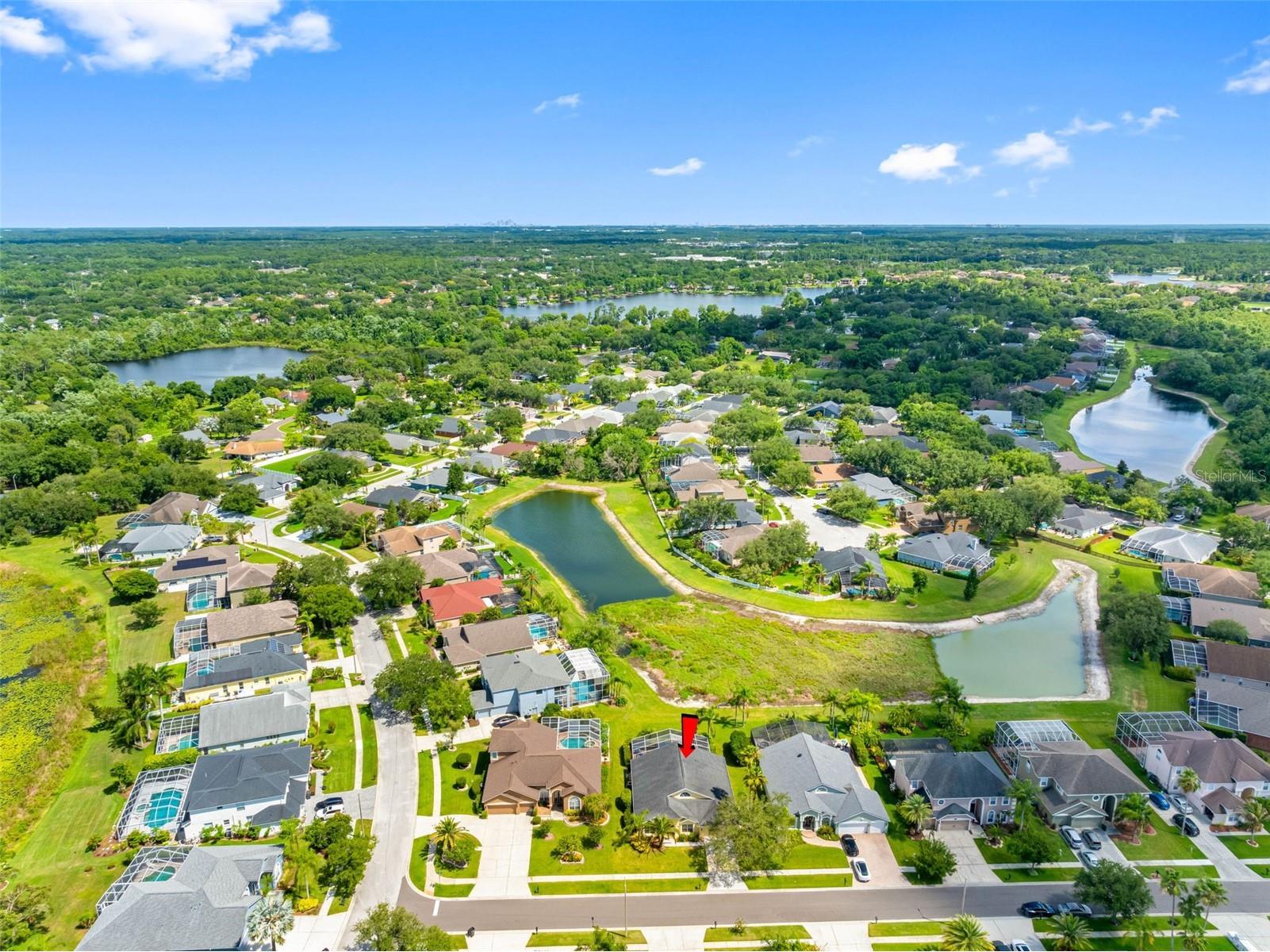 9104 Cypress Keep Lane Odessa FL 33556 TB8514464 image62