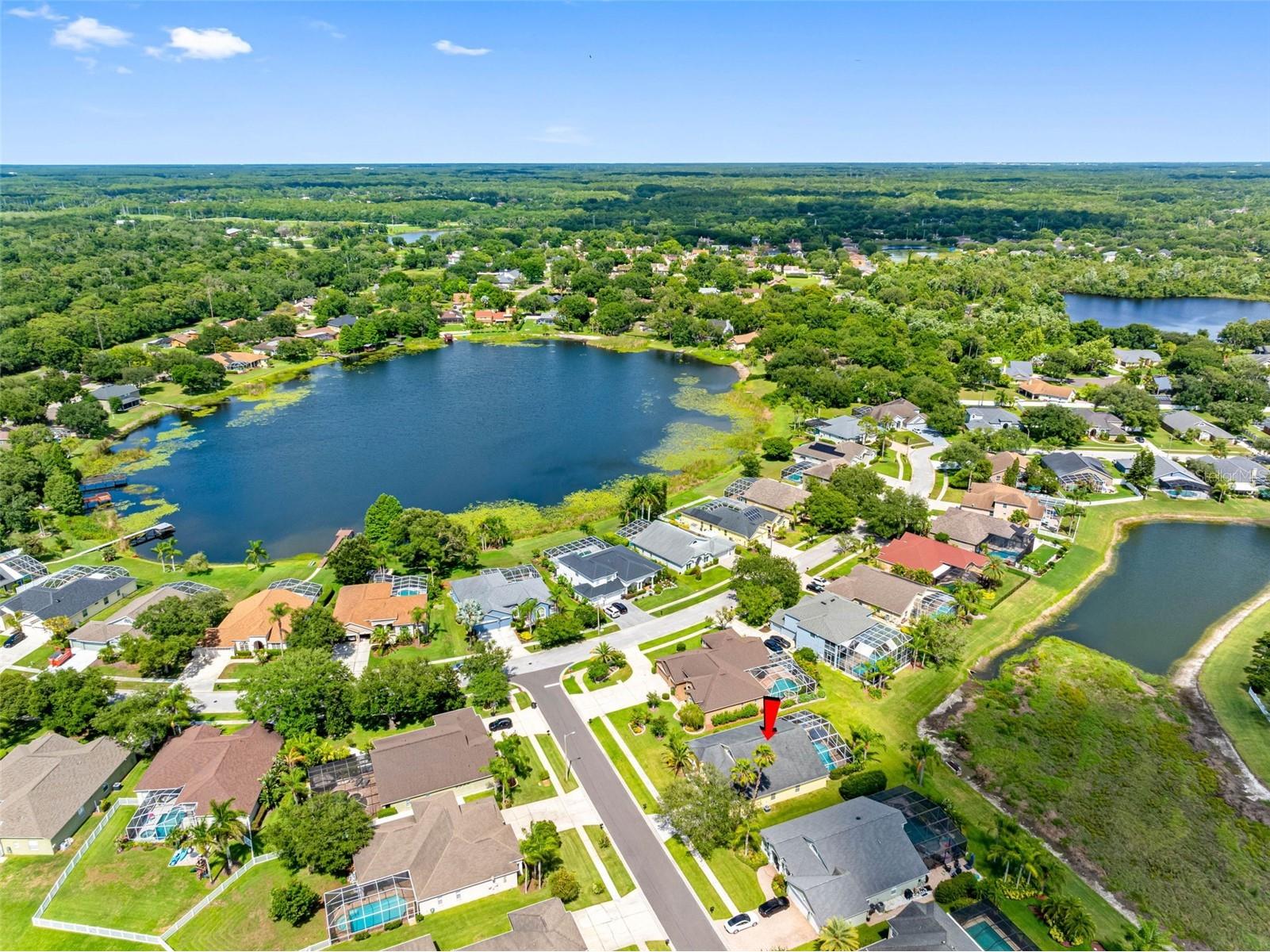 9104 Cypress Keep Lane Odessa FL 33556 TB8514464 image64