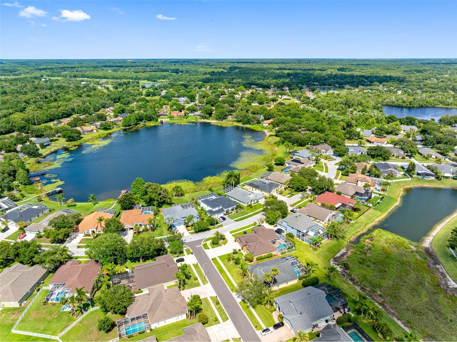 9104 Cypress Keep Lane Odessa FL 33556 TB8514464 image65