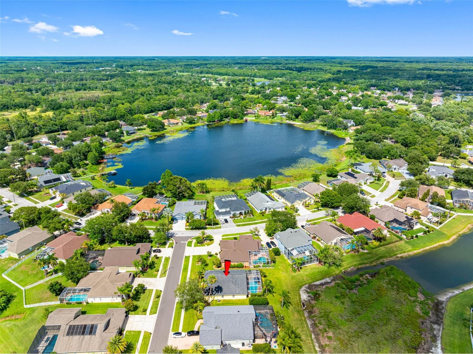 9104 Cypress Keep Lane Odessa FL 33556 TB8514464 image66