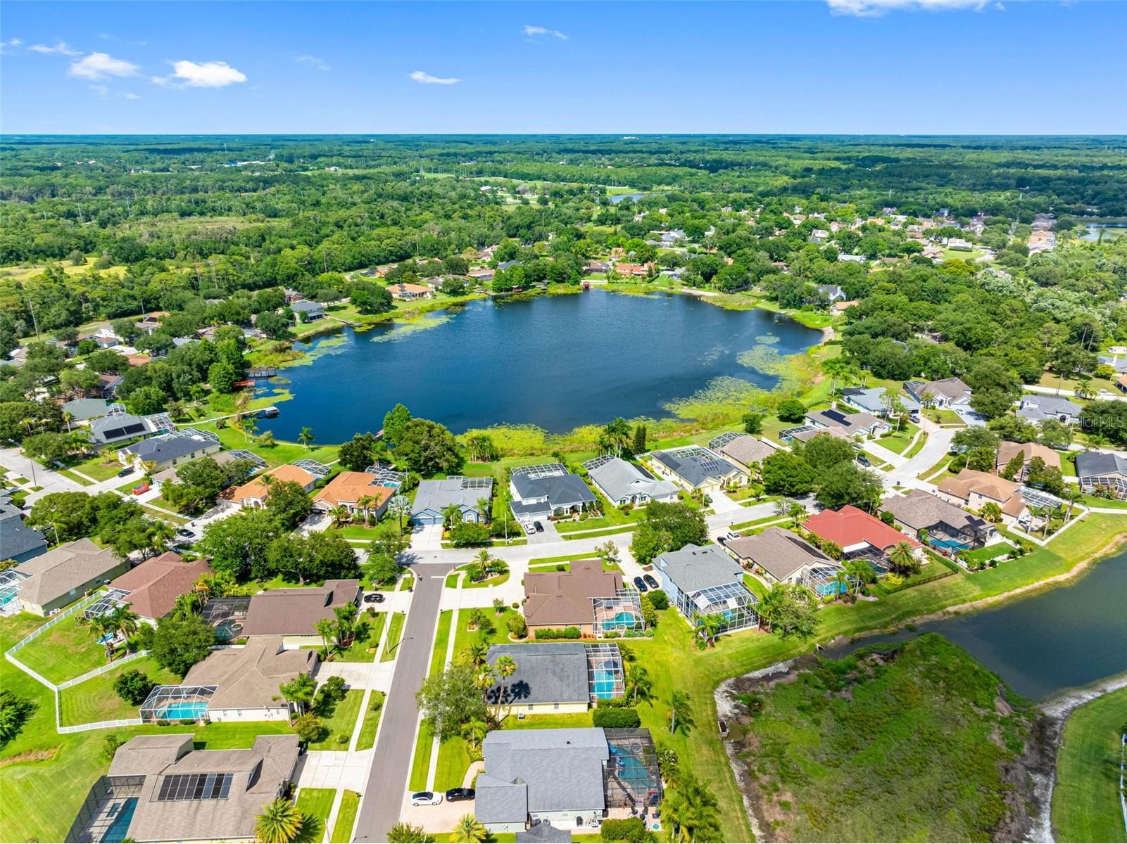 9104 Cypress Keep Lane Odessa FL 33556 TB8514464 image67