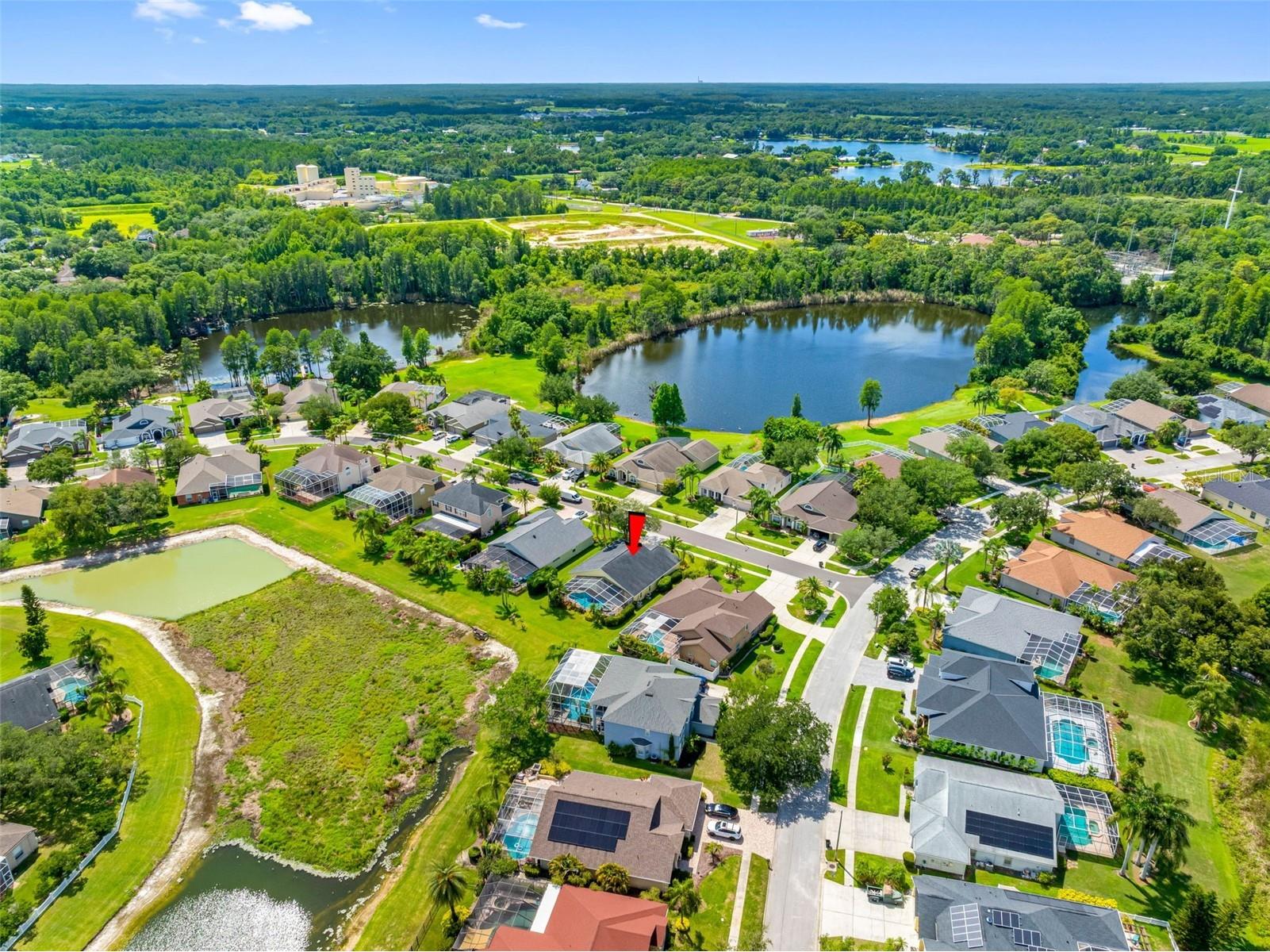9104 Cypress Keep Lane Odessa FL 33556 TB8514464 image72