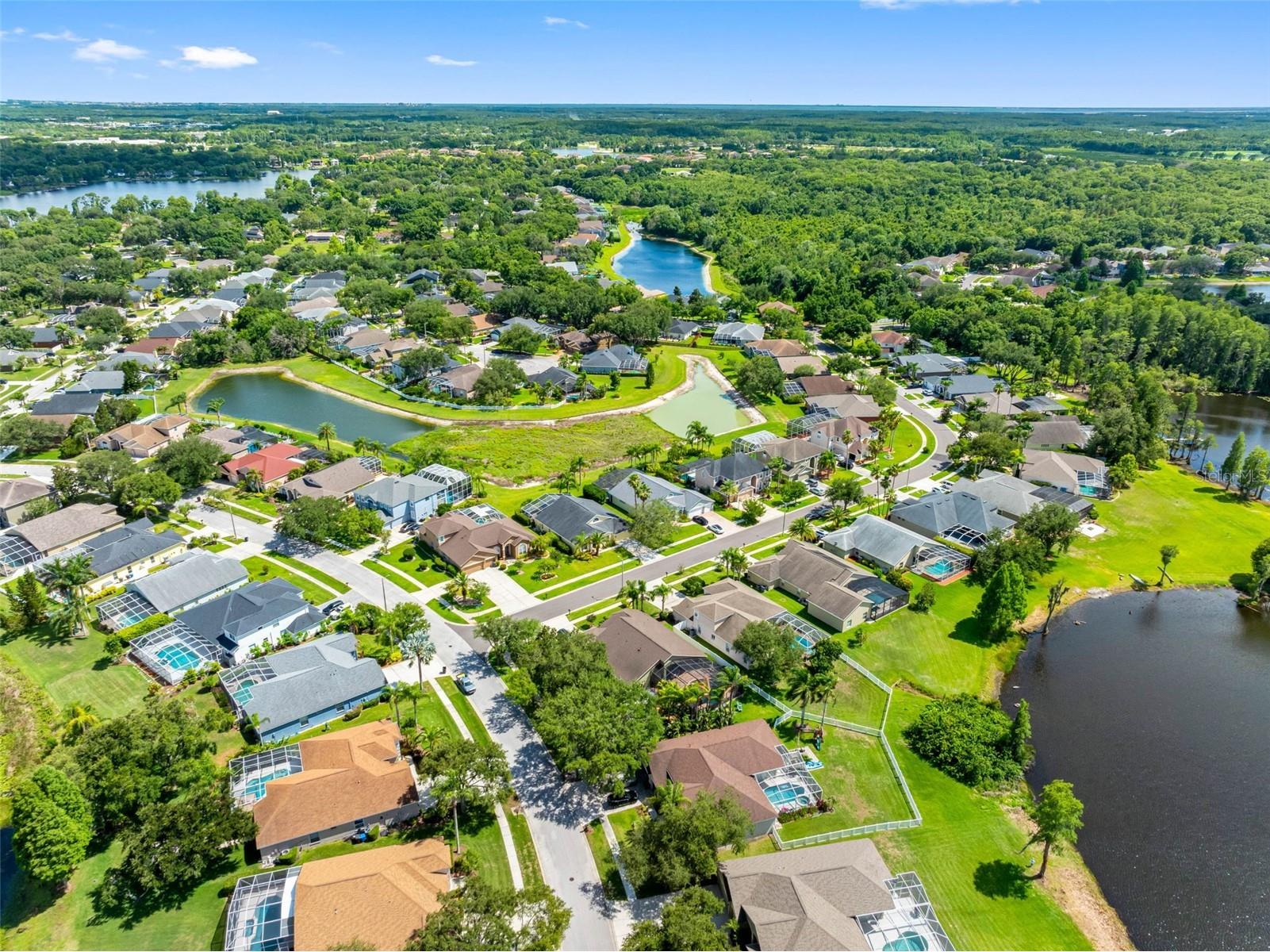 9104 Cypress Keep Lane Odessa FL 33556 TB8514464 image77