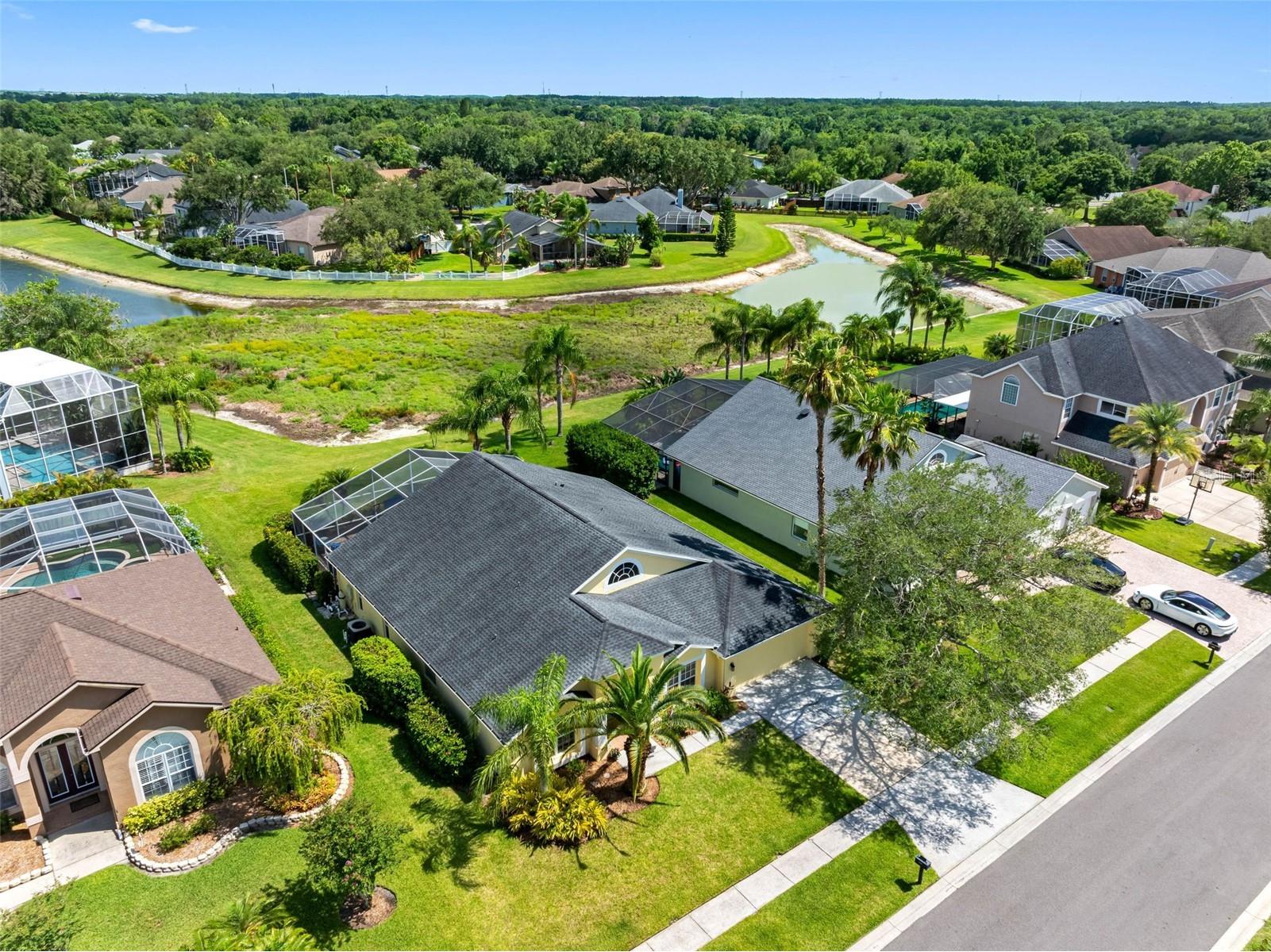 9104 Cypress Keep Lane Odessa FL 33556 TB8514464 image81
