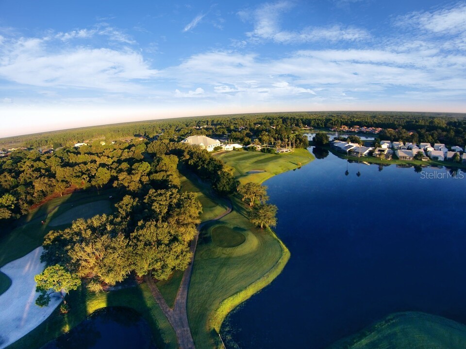 9104 Wade Street #8974 Weeki Wachee FL 34613 O6291046 image36