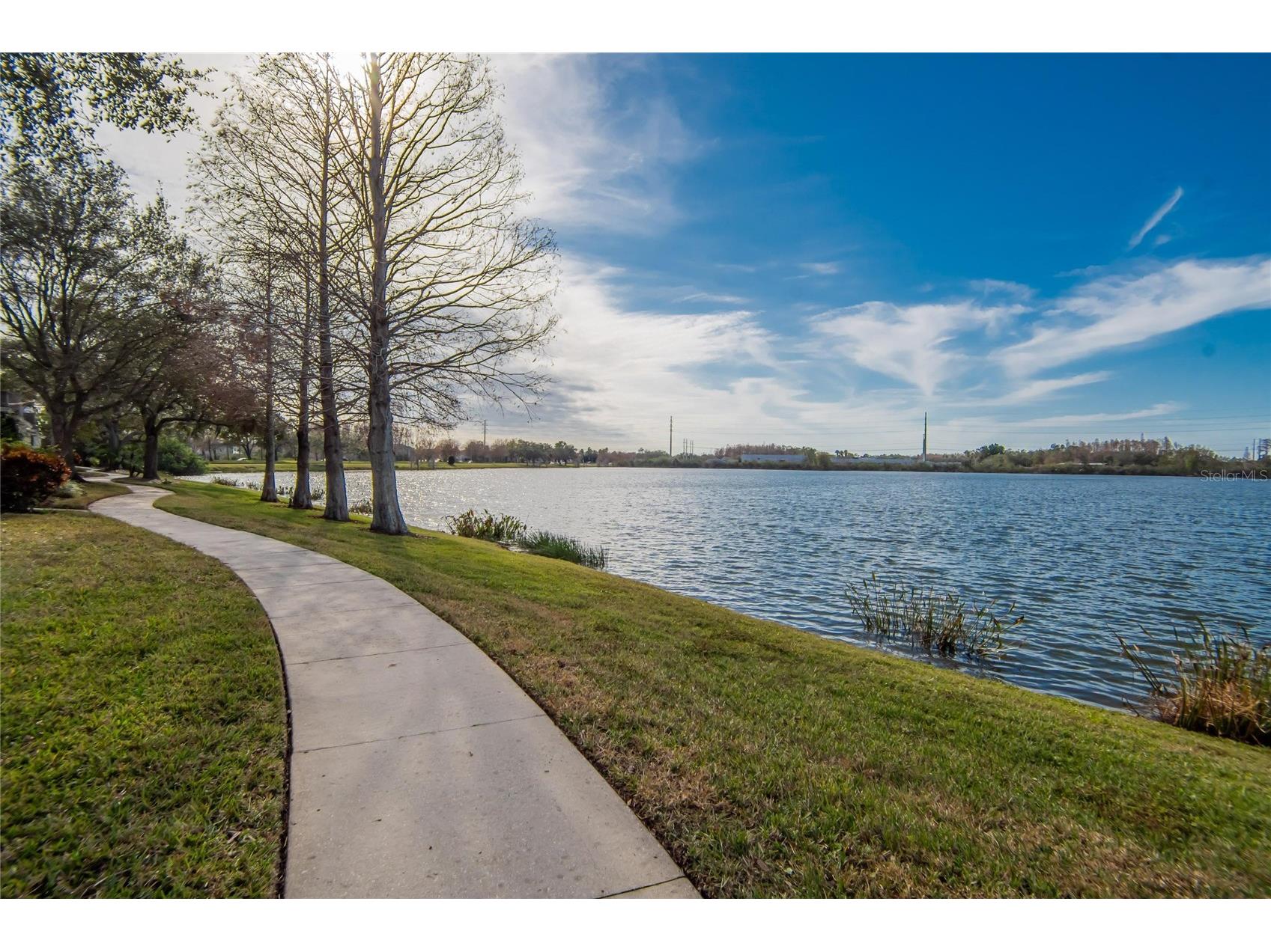 9105 Crystal Commons Way Tampa FL 33626 TB8492934 image42