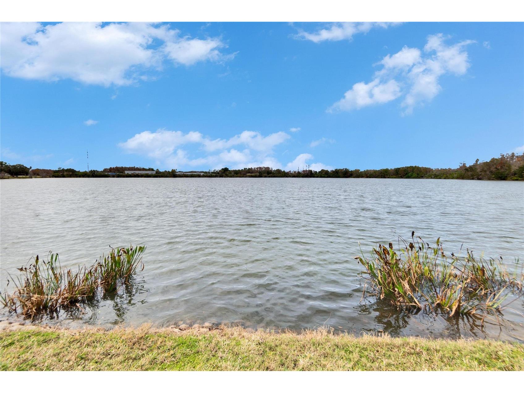 9105 Crystal Commons Way Tampa FL 33626 TB8492934 image47