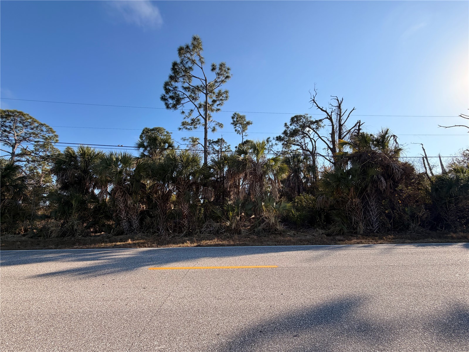 9105 Fruitland Avenue Englewood FL 34224 D6146190 image4