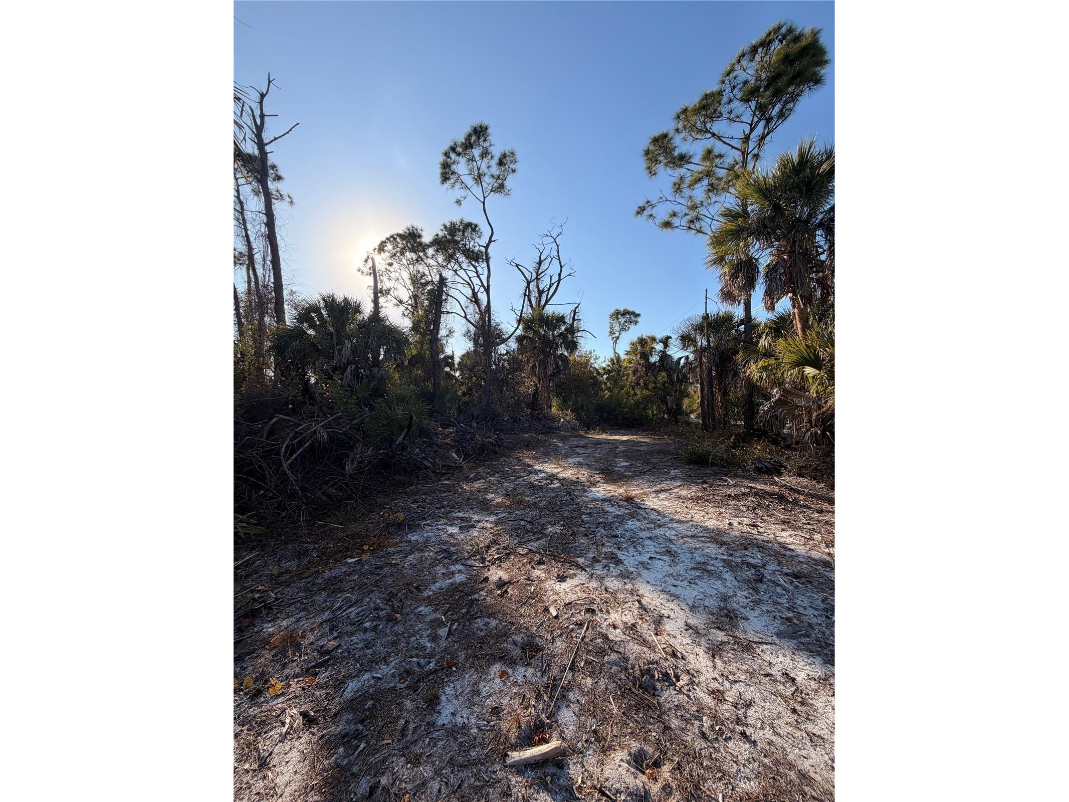 9105 Fruitland Avenue Englewood FL 34224 D6146190 image7