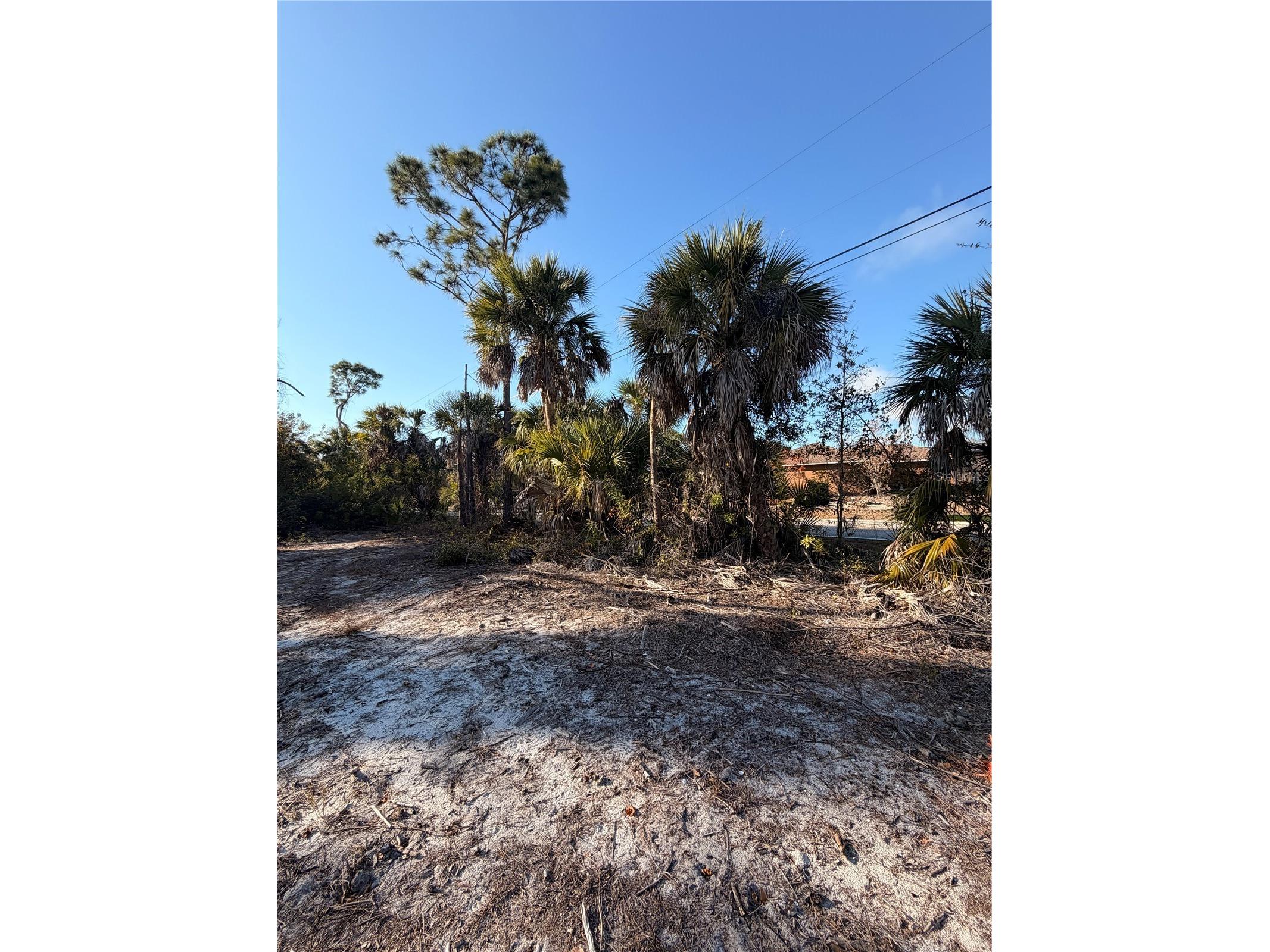 9105 Fruitland Avenue Englewood FL 34224 D6146190 image8