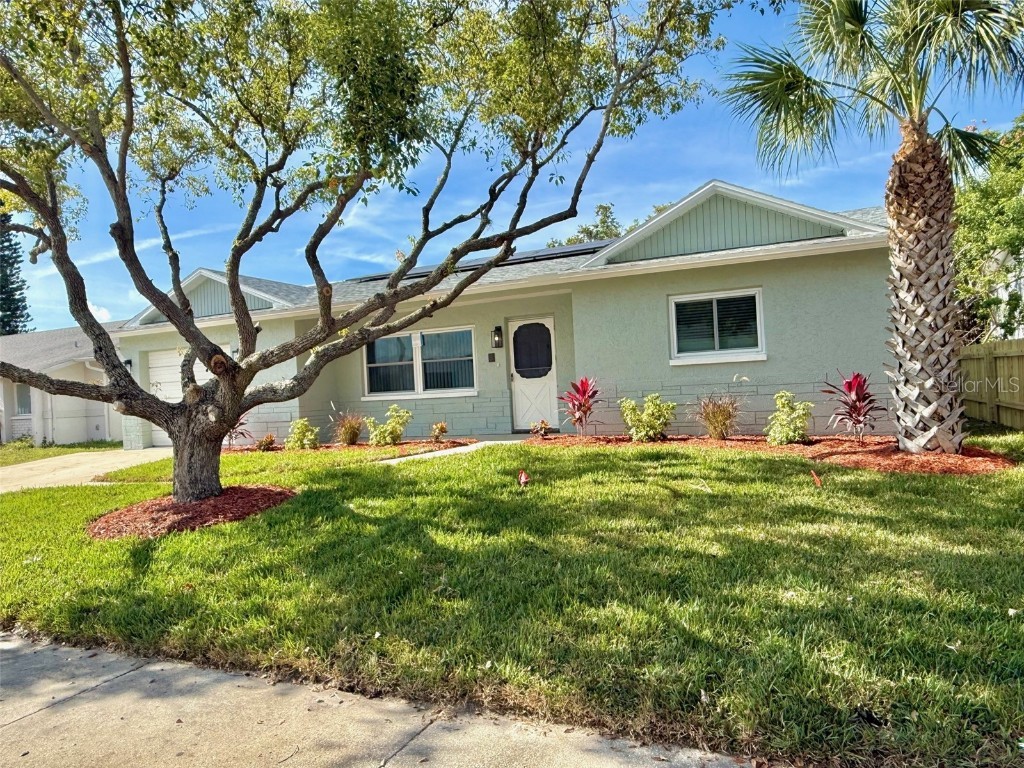 9105 Ledgestone Lane Port Richey FL 34668 TB8452011 image3