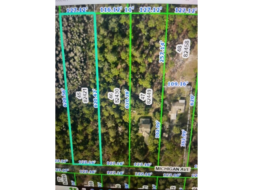 9105 Michigan Avenue Weeki Wachee FL 34613 W7863031 image1