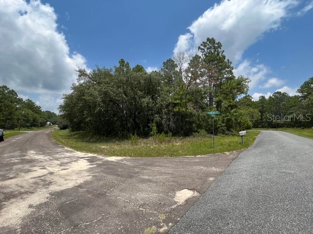 9105 N Hawkweed Drive Citrus Springs FL 34433 OK221865 image1