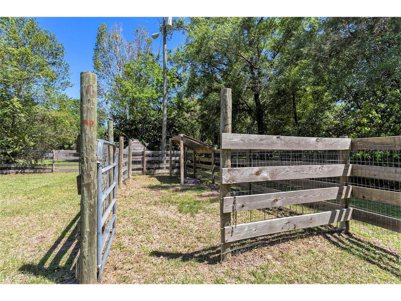 9105 S Zanmar Drive Floral City FL 34436 TB8489440 image28