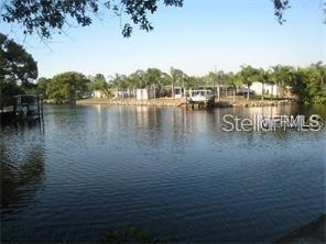 9105 Tudor Drive #203 Tampa FL 33615 TB8460082 image1