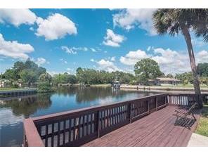 9105 Tudor Drive #203 Tampa FL 33615 TB8460082 image20