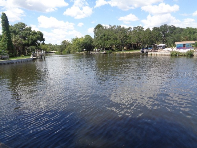 9105 Tudor Drive #203 Tampa FL 33615 TB8460082 image23